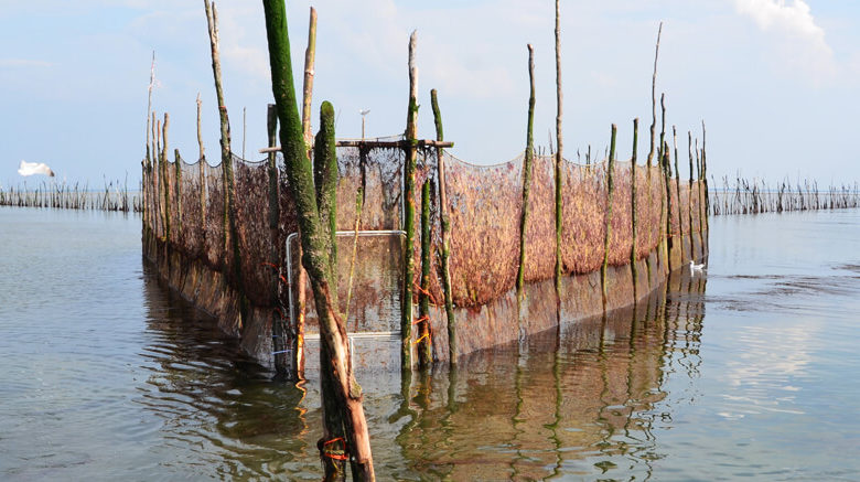 Weervisserij op de Schelde