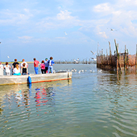 Organiseren van toeristische vaartochten voor publiek naar de weervisserij