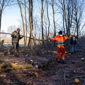 Weervissers helpen landschapsbeheer op Brabantse Wal